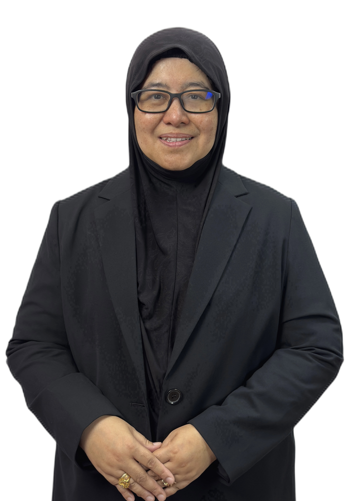 Ir. Ts. Dr. Nurlaila Ismail
